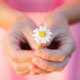 flower held gently