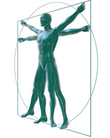 model of person holding out arms and legs - similar to Leonardo da Vinci's Vitruvian Man