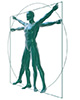 model of person holding out arms and legs - similar to Leonardo da Vinci's Vitruvian Man