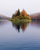 lake with trees on island