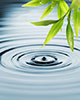 drop falling in still water creating ripples with bamboo leaves