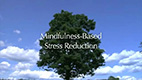 the video title, Mindfulness-Based Stress Reduction, with a tree and blue sky in the background