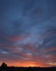 orange sunset over pine tree forest