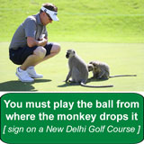 Text: You must play the ball from where the monkey drops it - sign on New Delhi golf course)