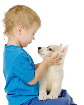 Criança segurando cachorrinho e olhando em seus olhos