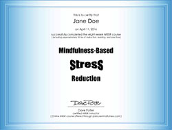 Certificado de Conclusão para o Curso de Redução de Stress Baseada em Mindfulness
